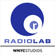 Image for article titled Radiolab sends off co-host Robert Krulwich in the most Radiolab way possible